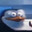 .seriousduck