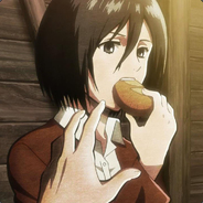 MIKASA
