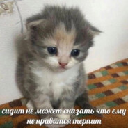 xinhulu - steam id 76561197962309128