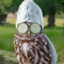 unluckyOwl