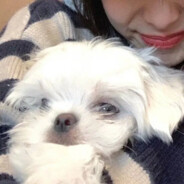 祈求小欣的怜悯