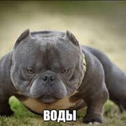 Кирилл Колбасенк