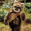 Ewok