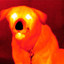 Descxped