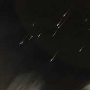 TRIPPlN