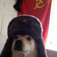 Capitan Tin