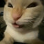 migger