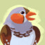 fringillidae