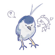 普賢プサ official