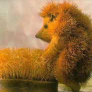 ПЬЯНЫЙ ЁЖИК