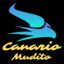 CanarioMudito