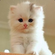 Cậu Tùng Vô Địch