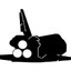 Jack Of Spades