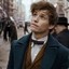 Newt Scamander.