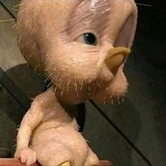 PAIAÇO QUIMIOTERÁPICO