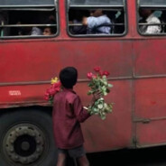 我有一本只写你的日记