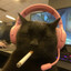 chilloviy chel