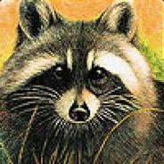 RaQuN - steam id 76561198132406172