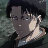 Levi