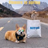 班德尔城第一突破手