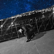 {}Maxel{} - RL Trader