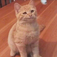 月儿亮惹的祸420