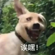 坐牢只坐麦当劳