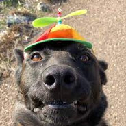 Delor - steam id 76561198000885466