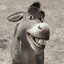 Donkey