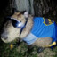 mister.buhgatto