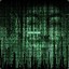 Anonymous0102