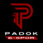 Padok E-Spor