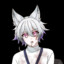 ZORRO_KITSUNEVT