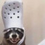 DopeyTurtle
