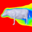 Aerodynamic cow