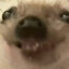 1111111