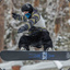 SnowBoarder|1hp