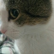 who doesn't tilt - doesn't drink