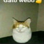 qwr