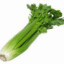 Celery