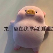 可可爱爱绿茶猪