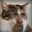 meow-uddeen