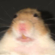 Rodent