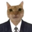 Gata Licenciada