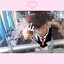 23Zy
