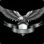 Night Eagle
