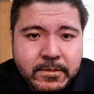 高原的一只山羊