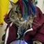 LOKI