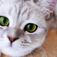 Loves to help poor people