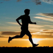 脂肪浮于水面熊也一样